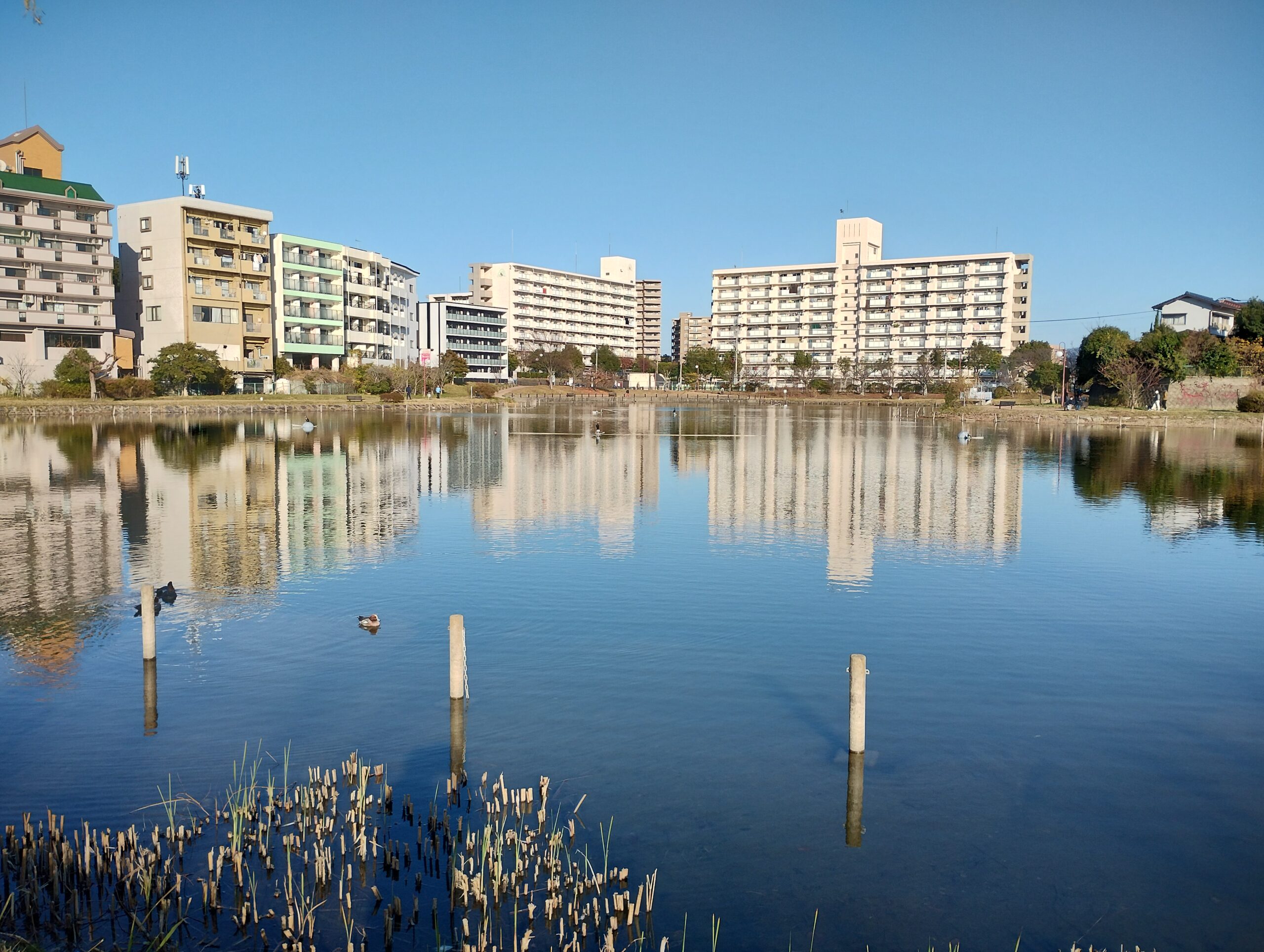 行政書士事務所ほりうち